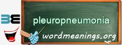 WordMeaning blackboard for pleuropneumonia